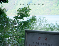 ����̹���