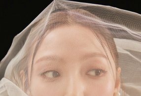 ̹