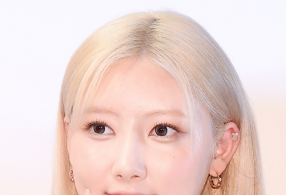 ̹