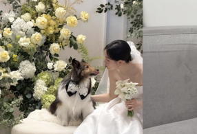 ����̹���