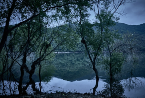 ����̹���