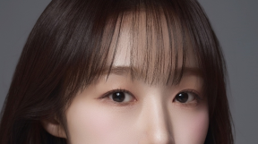 ̹