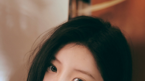 ̹