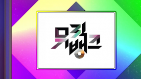 ̹