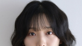 ̹