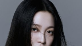 ̹