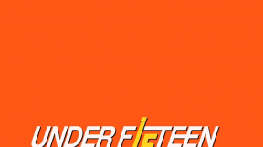 ̹