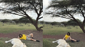 ����̹���