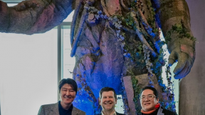 ����̹���