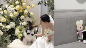 ����̹���