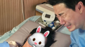 ����̹���