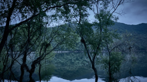 ����̹���